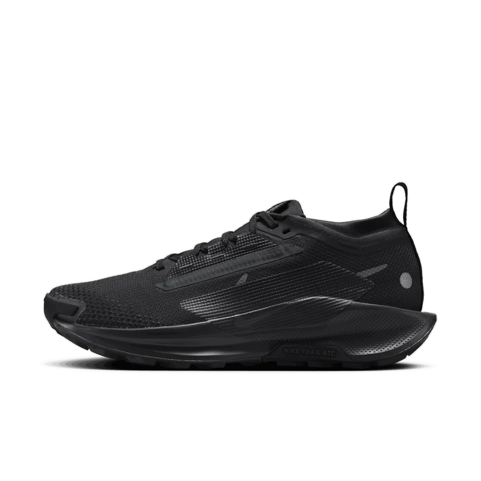 Nike Pegasus Trail 5 GORE-TEX FQ0912-002